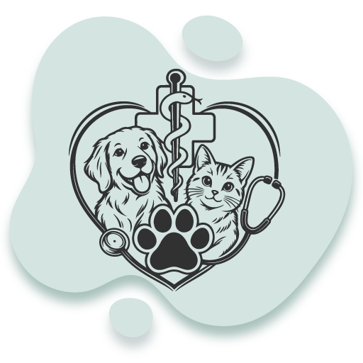 Cadou Veterinar